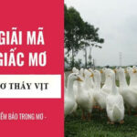 mơ thấy vịt